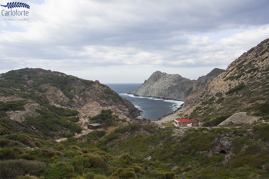 Trekking nel Sentiero Verde alla scoperta di Cala Fico